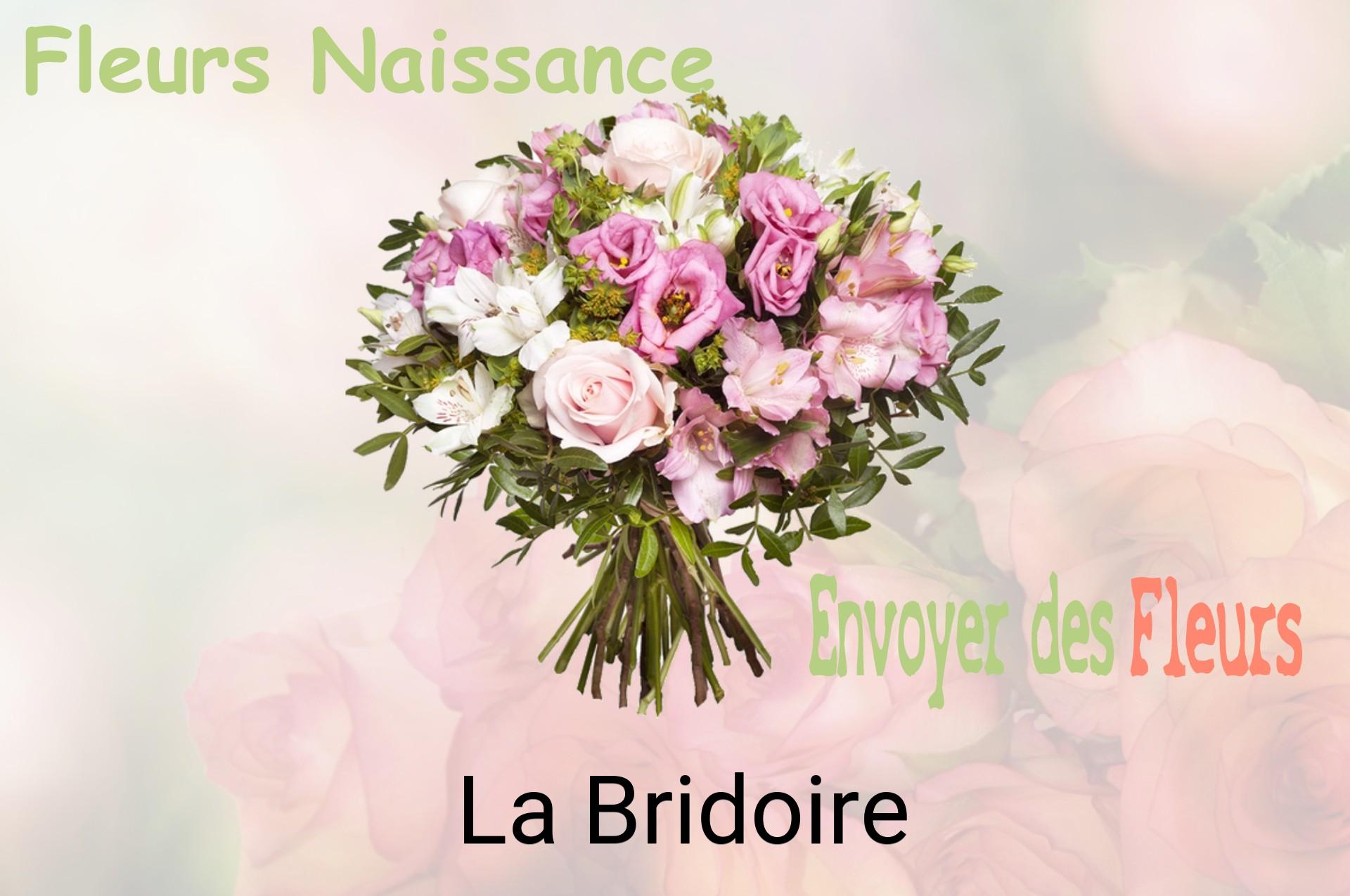 Bouquet de fleurs de naissance livré à La Bridoire